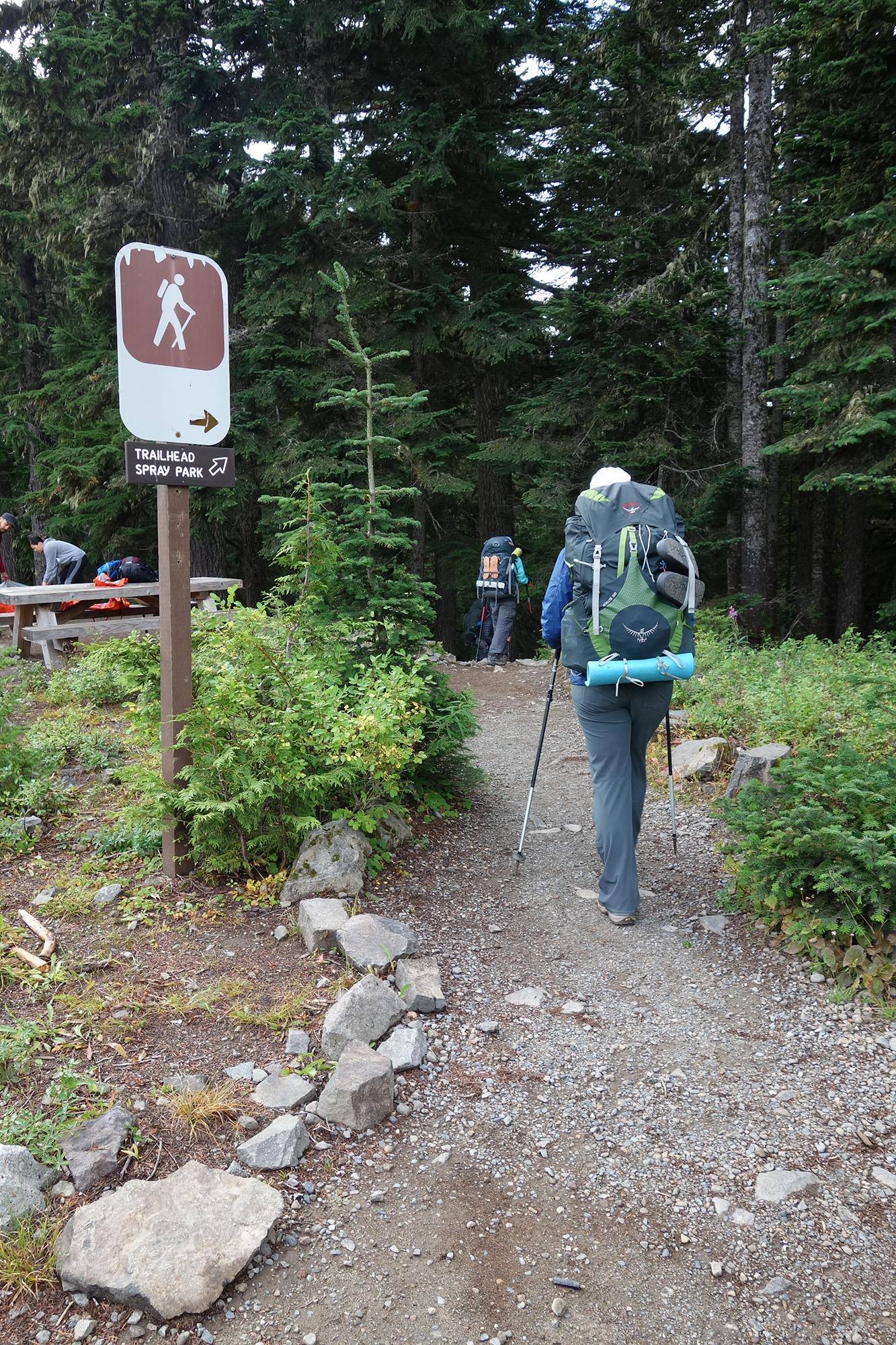 Two backpackers pass by a trail sign and head into a forest. 