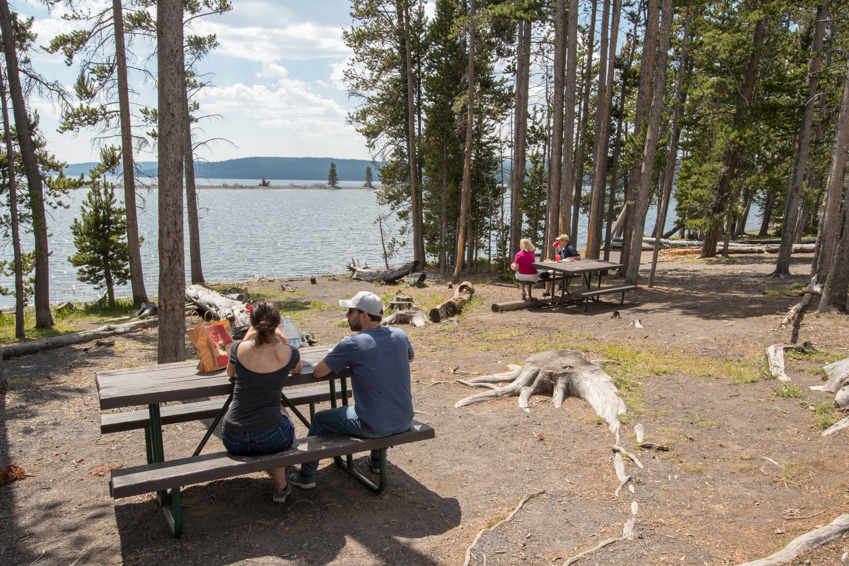 Two couples sitting at two different picnic tables next to Yellowstone Lake.