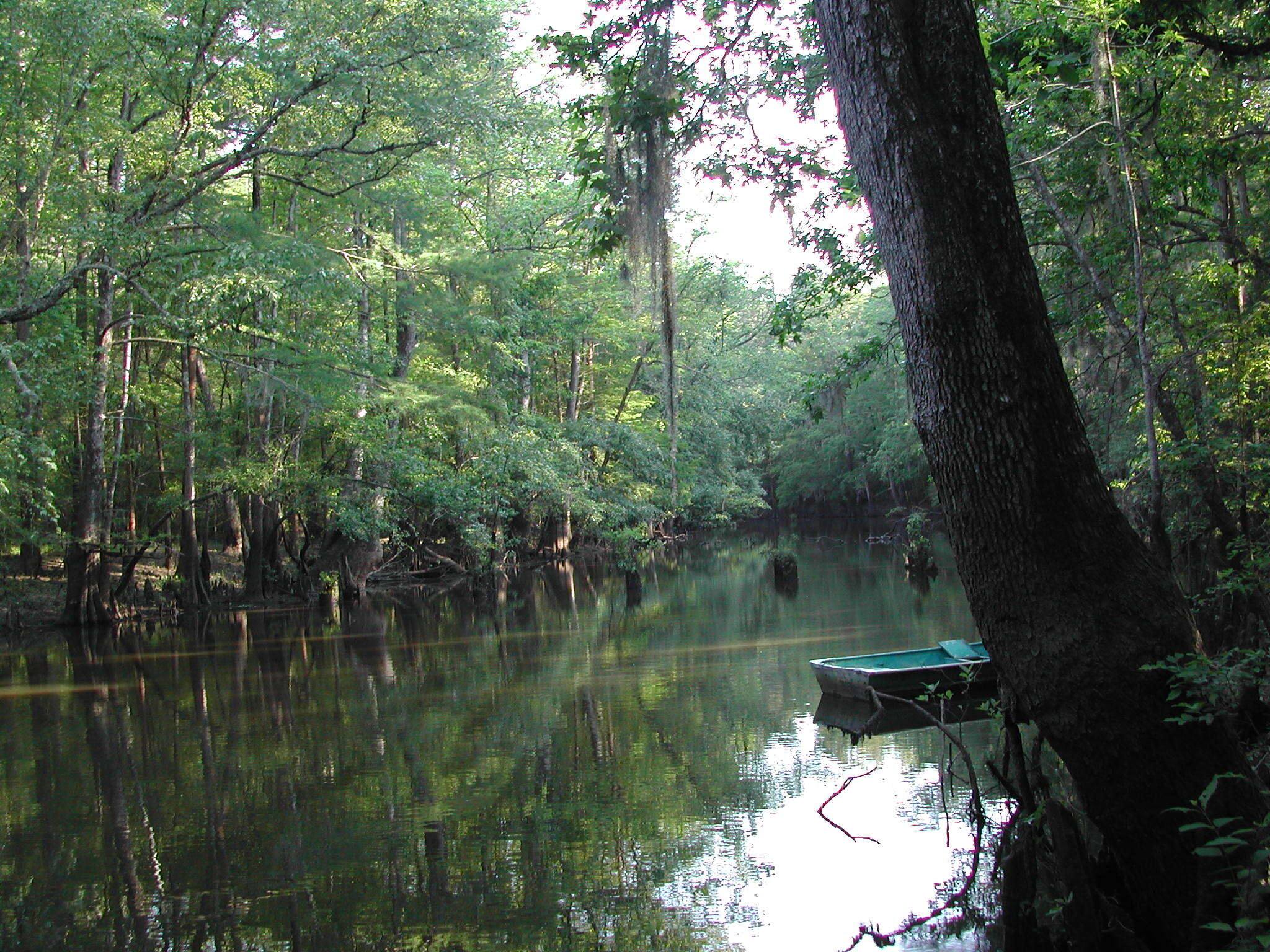a boat on the lake in the woods