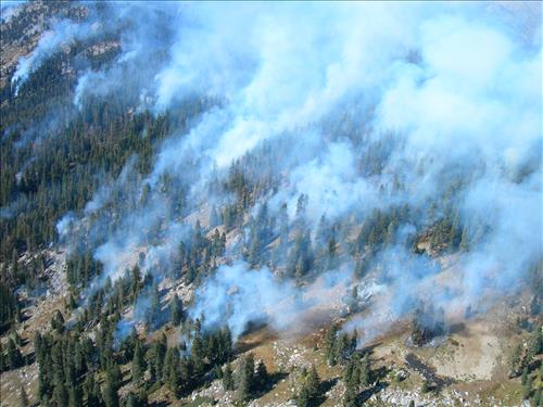 Park helicopter performs aerial ignition and reconnaissance on Highbridge Prescribed Fire, Sequoia and Kings Canyon National Parks, October 2005
