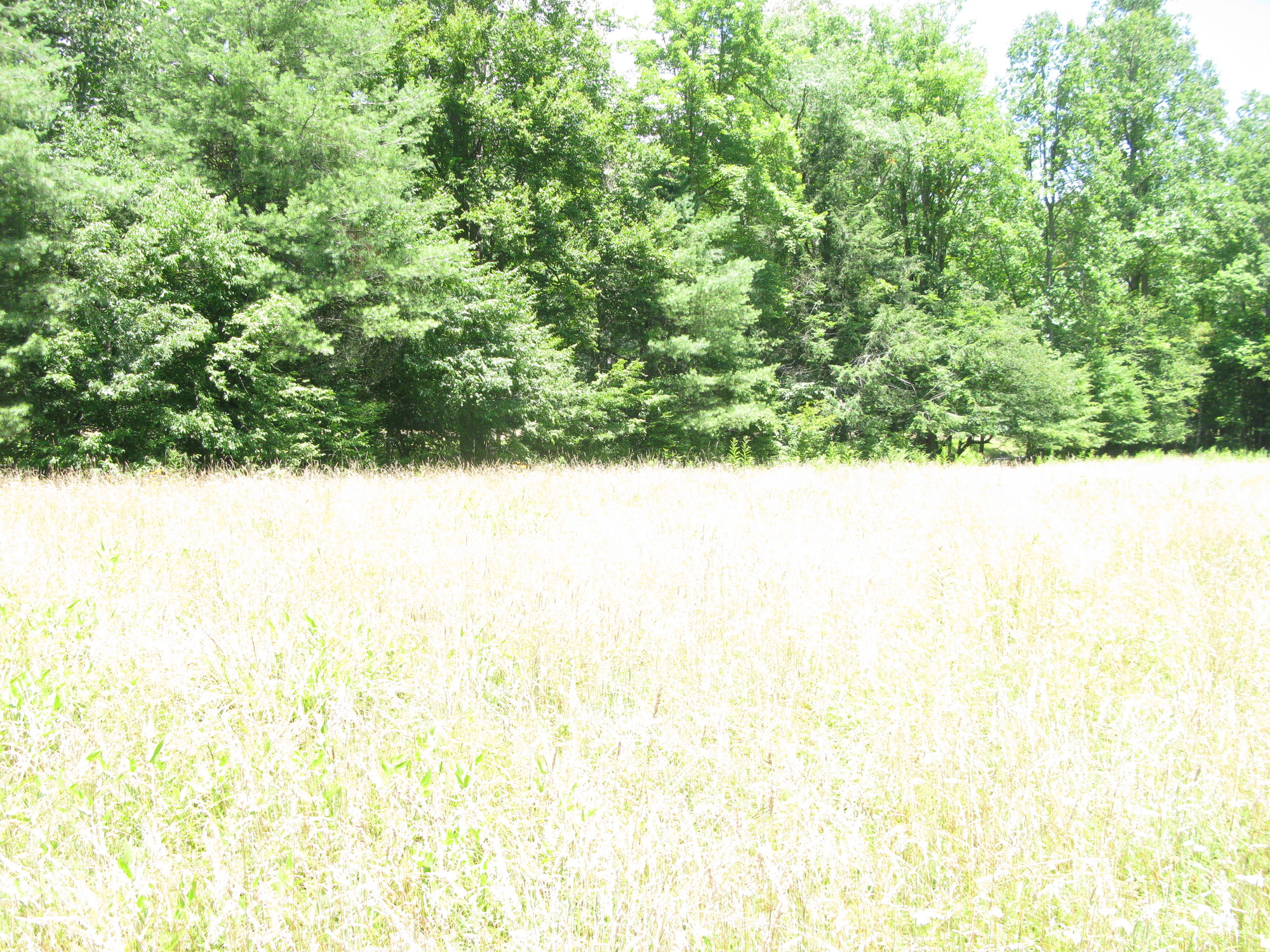 GRSM Accuracy Assessment. Plot Code: GRSM_AA_0774_2