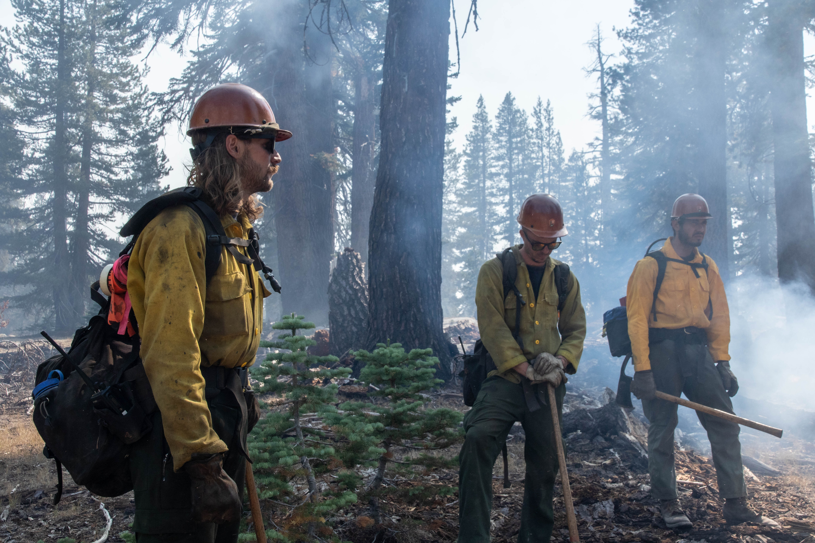 Wildland firefighters walk through wooded areas with smoke and fire around them
