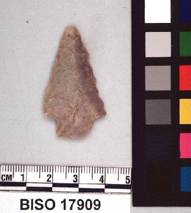 BISO   17909 -- Point, Projectile