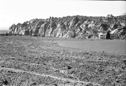 BW photo of the 1937 grazing study 35MM. Photo of chained area in Lee Valley.