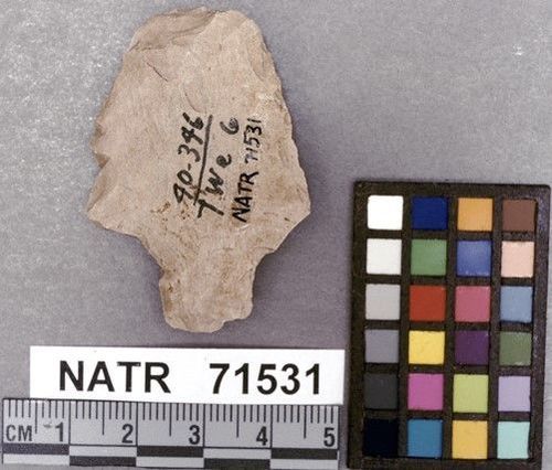 NATR   71531 -- Ledbetter Cluster projectile point
