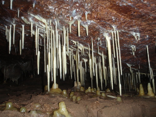 Stalagmites on ground below stalactites hanging from ceiling 