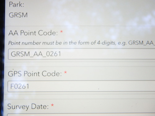 GRSM Accuracy Assessment. Plot Code: GRSM_AA_0261_1