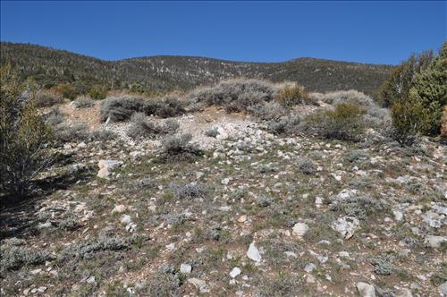 Moriah Overlook ADA compliant construction site