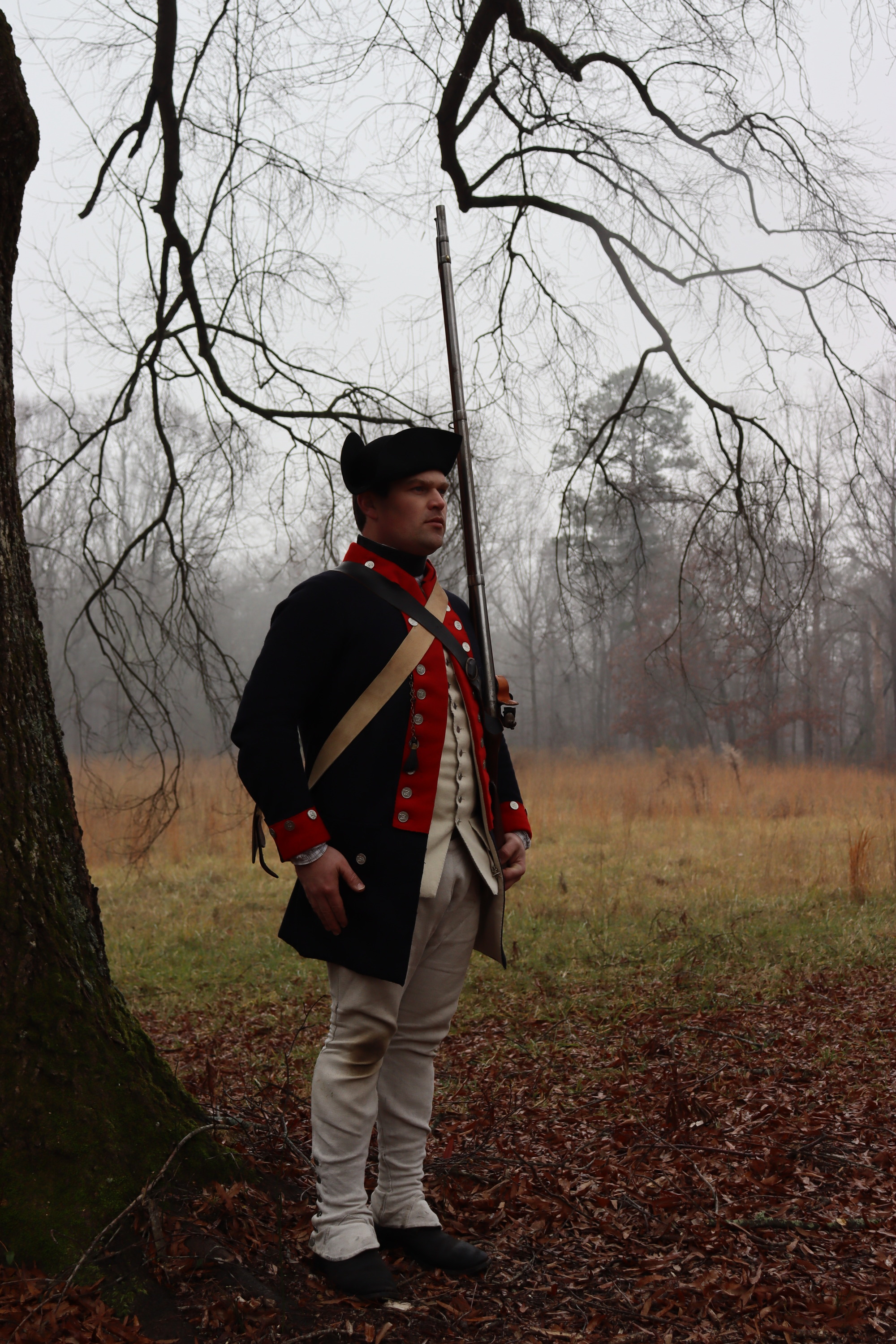 A man in a blue and red 18th century uniform is standing near a tree by a open field. 