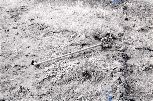 BW photo of the 1937 grazing study 35MM.