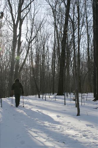 Winter Hiking at Stanford