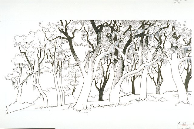 Illustration of a Live oak grove.