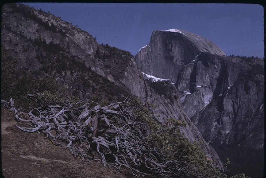 Half Dome  from Sunnyside Bench