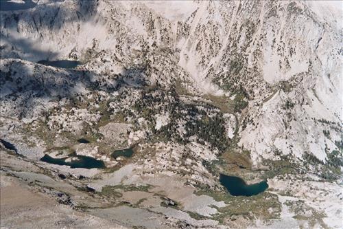 Mountain yellow-legged frog restoration project, Sequoia and Kings Canyon National Parks, 2001-2003
