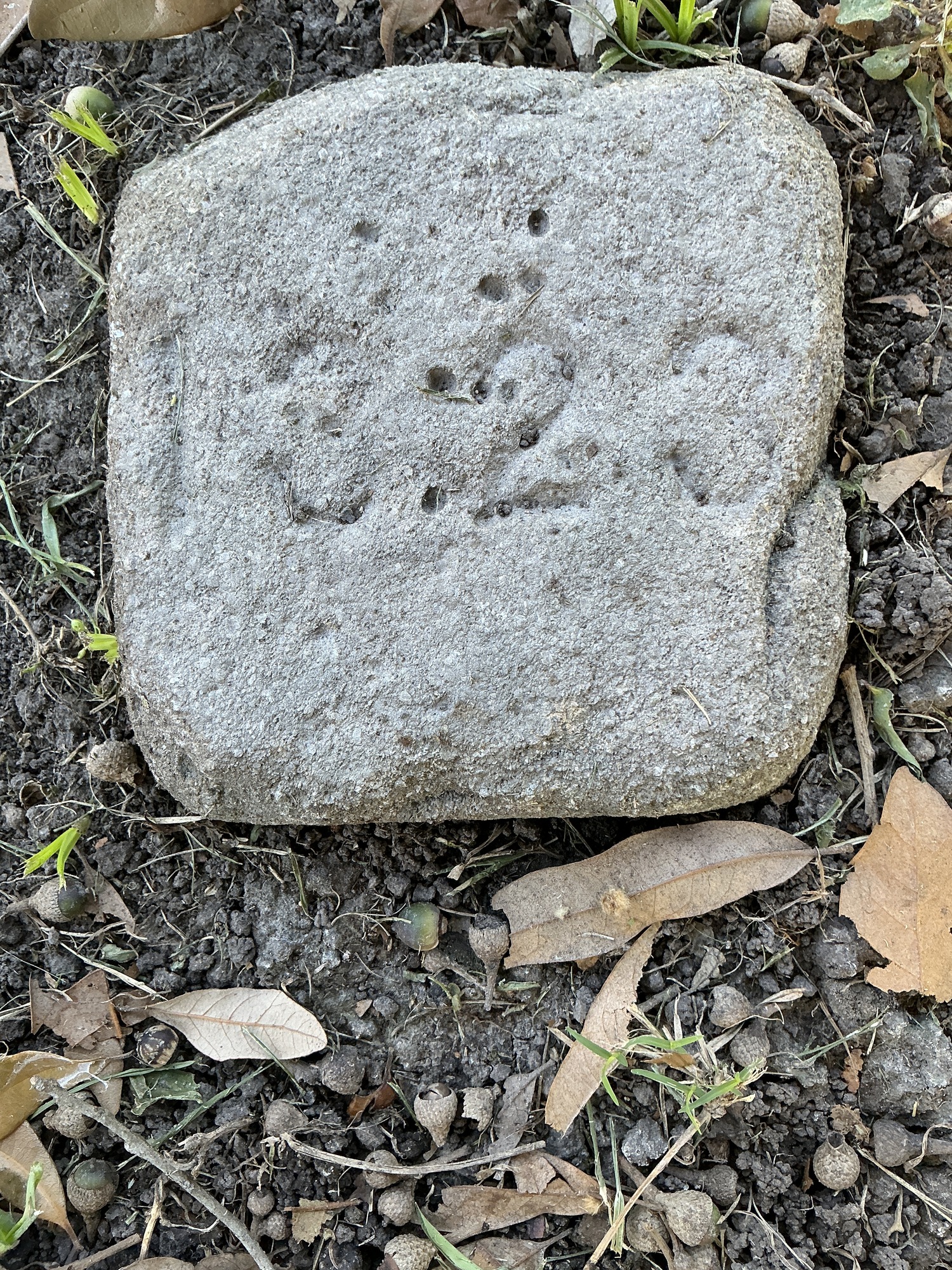 Top of flat marble marker