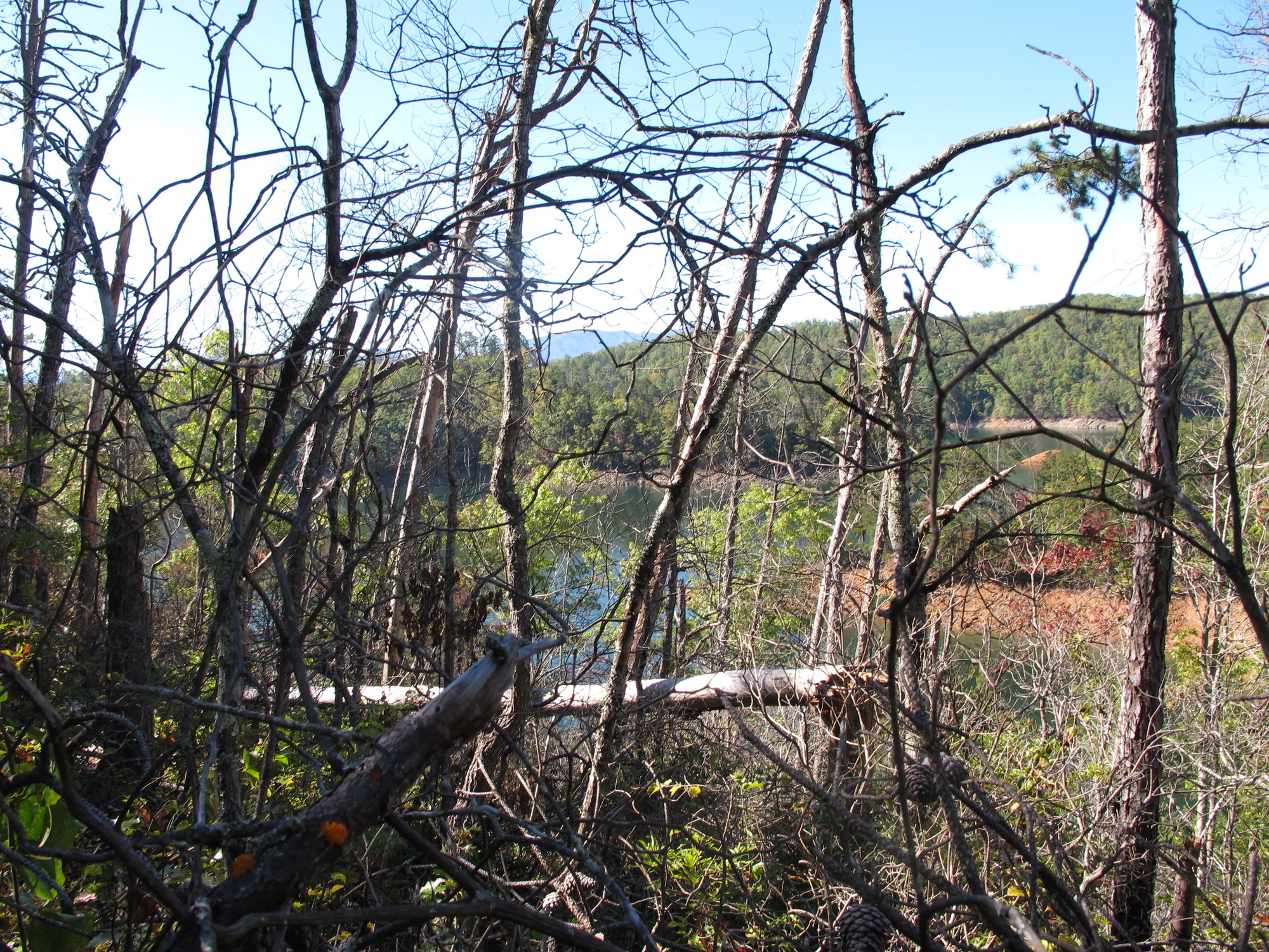 GRSM Accuracy Assessment. Plot Code: GRSM_AA_0329_4