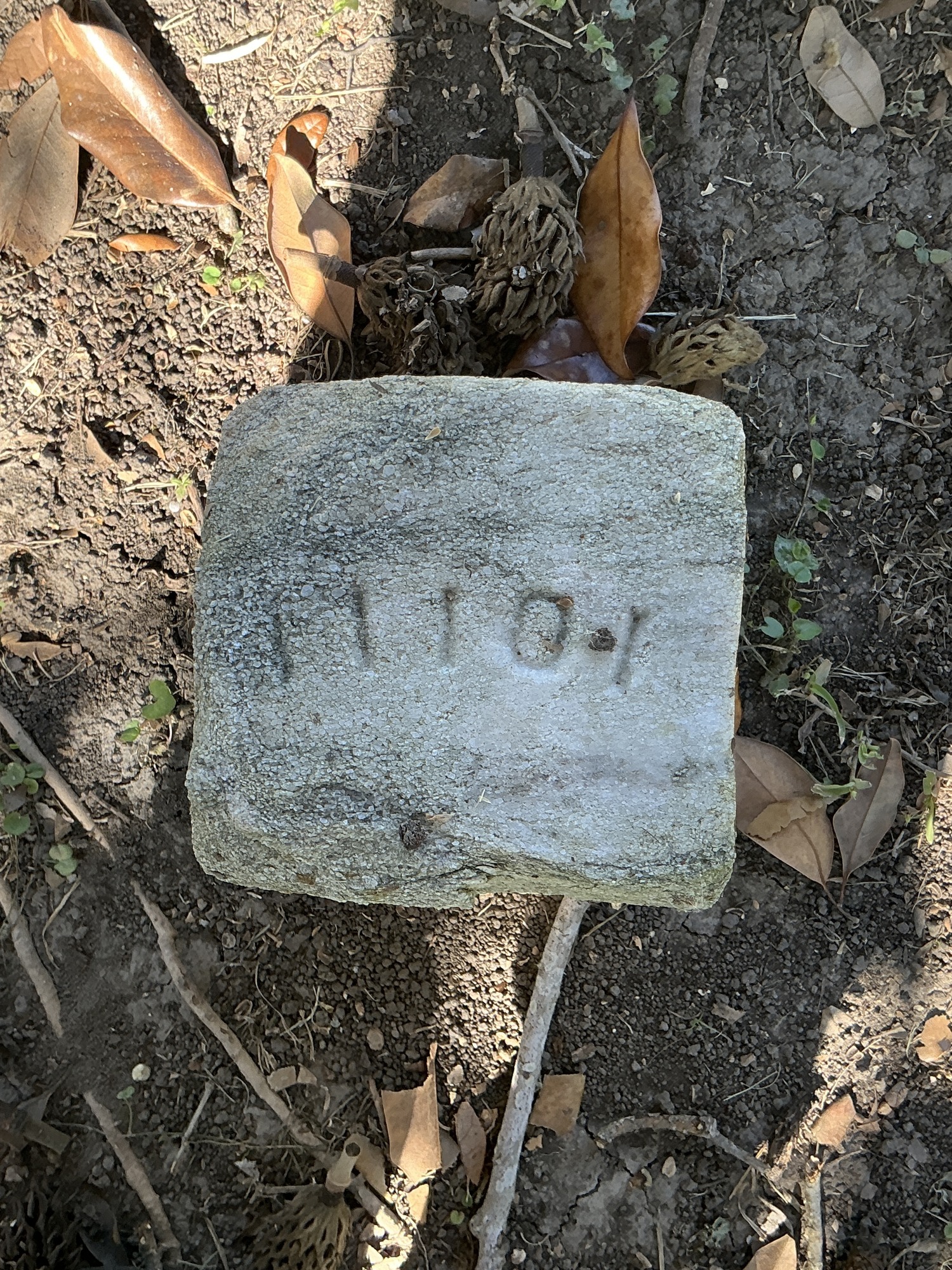 Top of flat marble marker