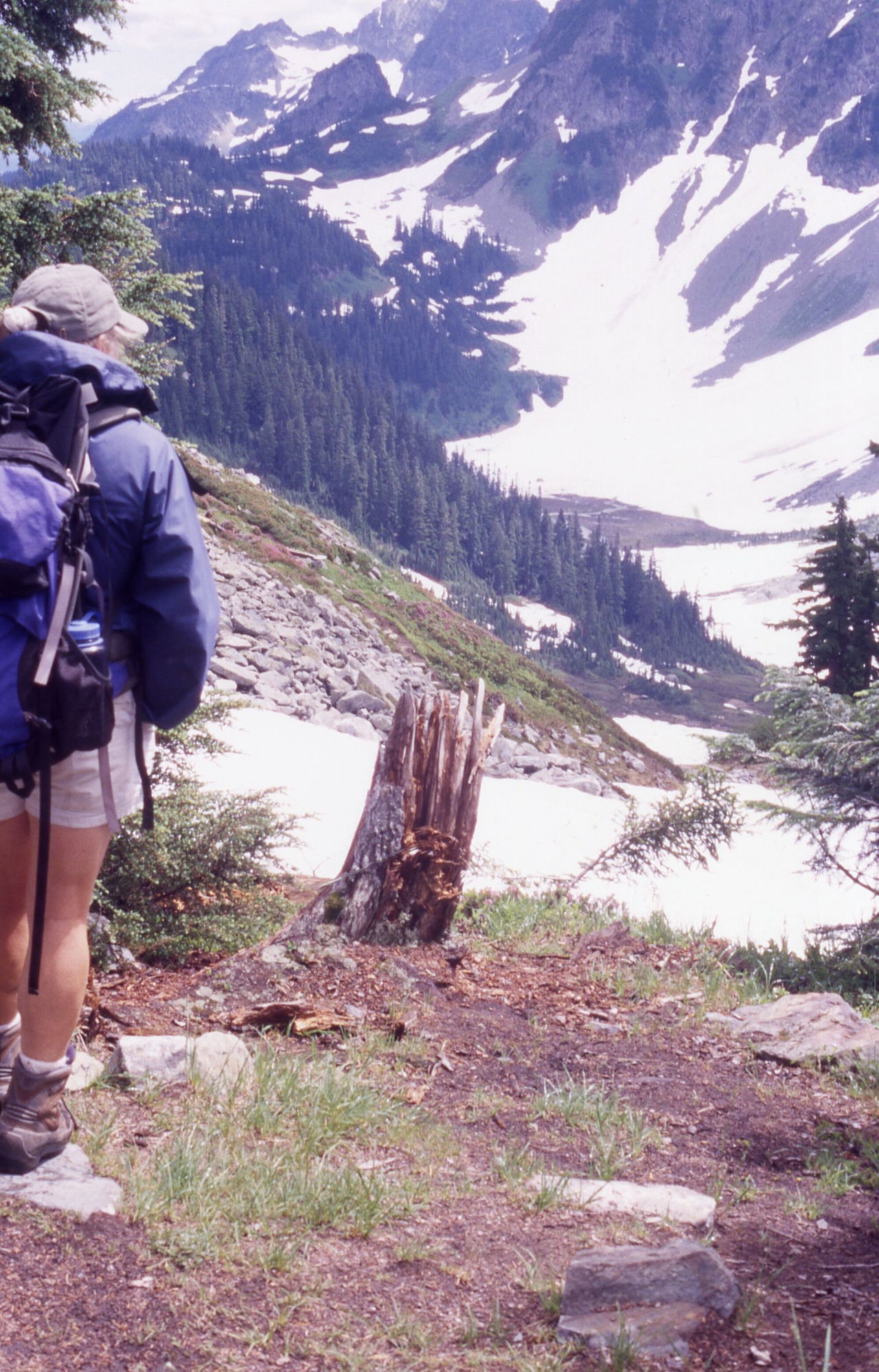 A hiker on a bare patch of land looking into the distance at a basin with slopes of trees on the left and snowy mountainsides on the right.