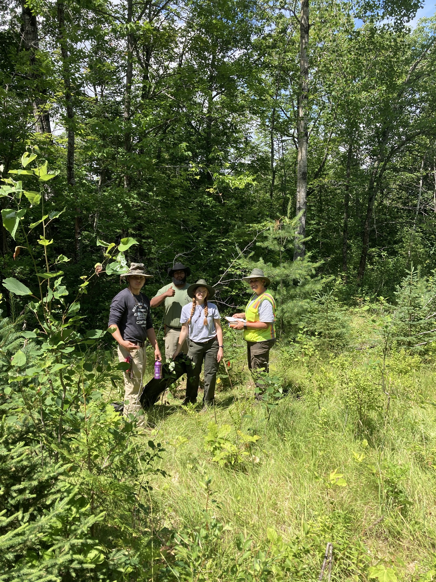 Four researchers stand together in tall grass surrounded by trees. 
