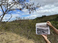 A man holding up a historic photo in front of a valley.