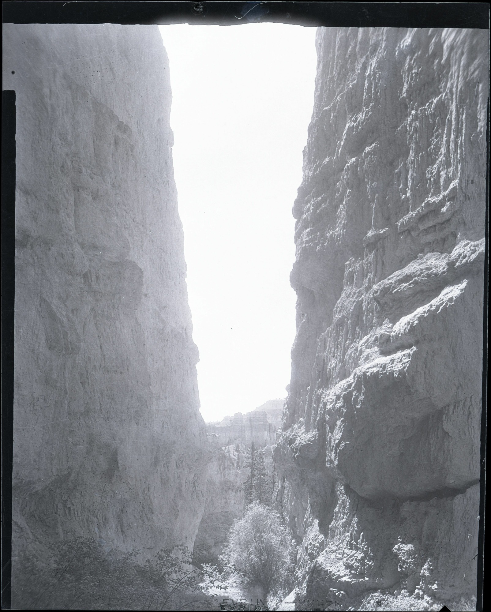 BRCA Museum and Archives Image