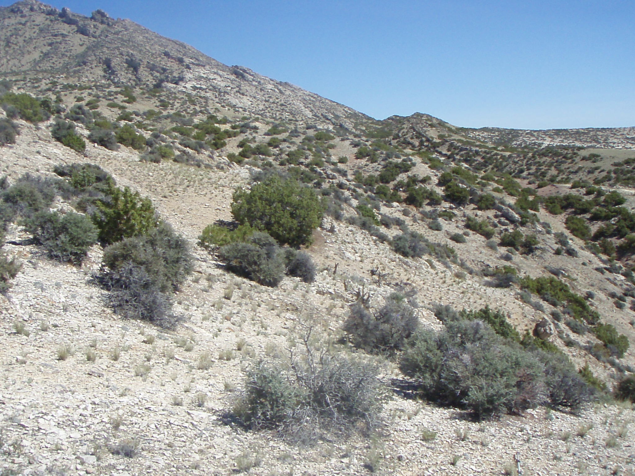 Image of the vegetation and landscape at photo point in Bighorn Canyon NRA 