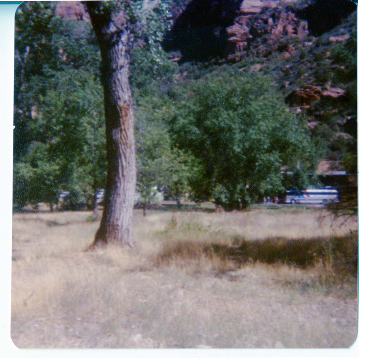 The grounds around the Zion Lodge.
