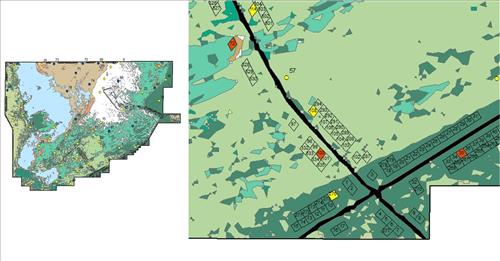 Kit Fox and Pedestals