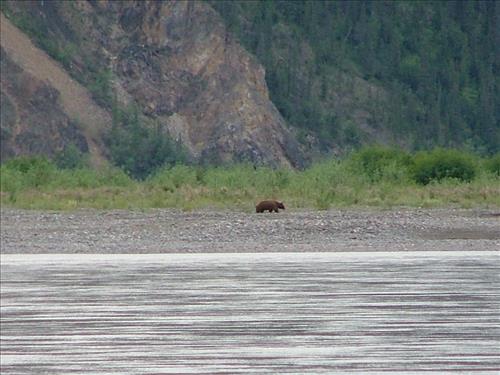 14 Yukon-Charley Rivers National Preserve Peregrine Falcon Survey July 2006