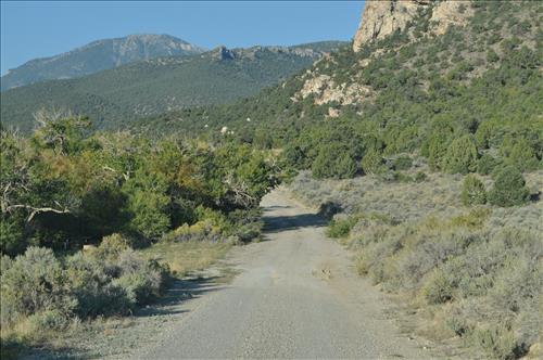 Cyclic Roads Brushing Needs