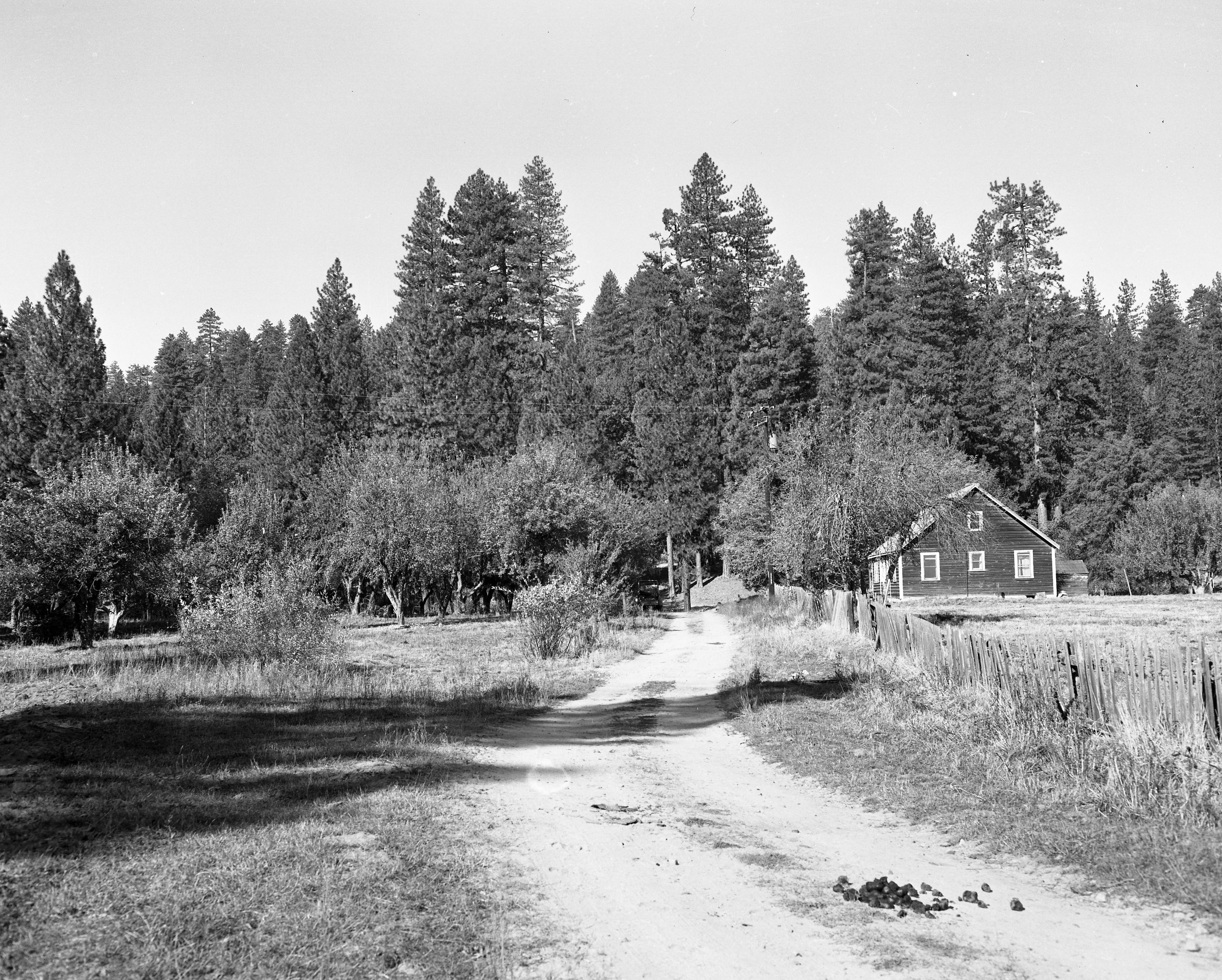 Foresta. Myers ranchhouse and orchard. C-6. Second Meyer house, Built 1936.