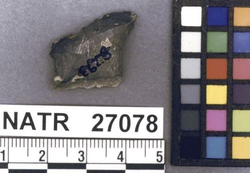 NATR   27078 -- Untyped projectile point