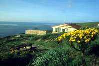 Santa Barbara Island Campground and Visitor Center
