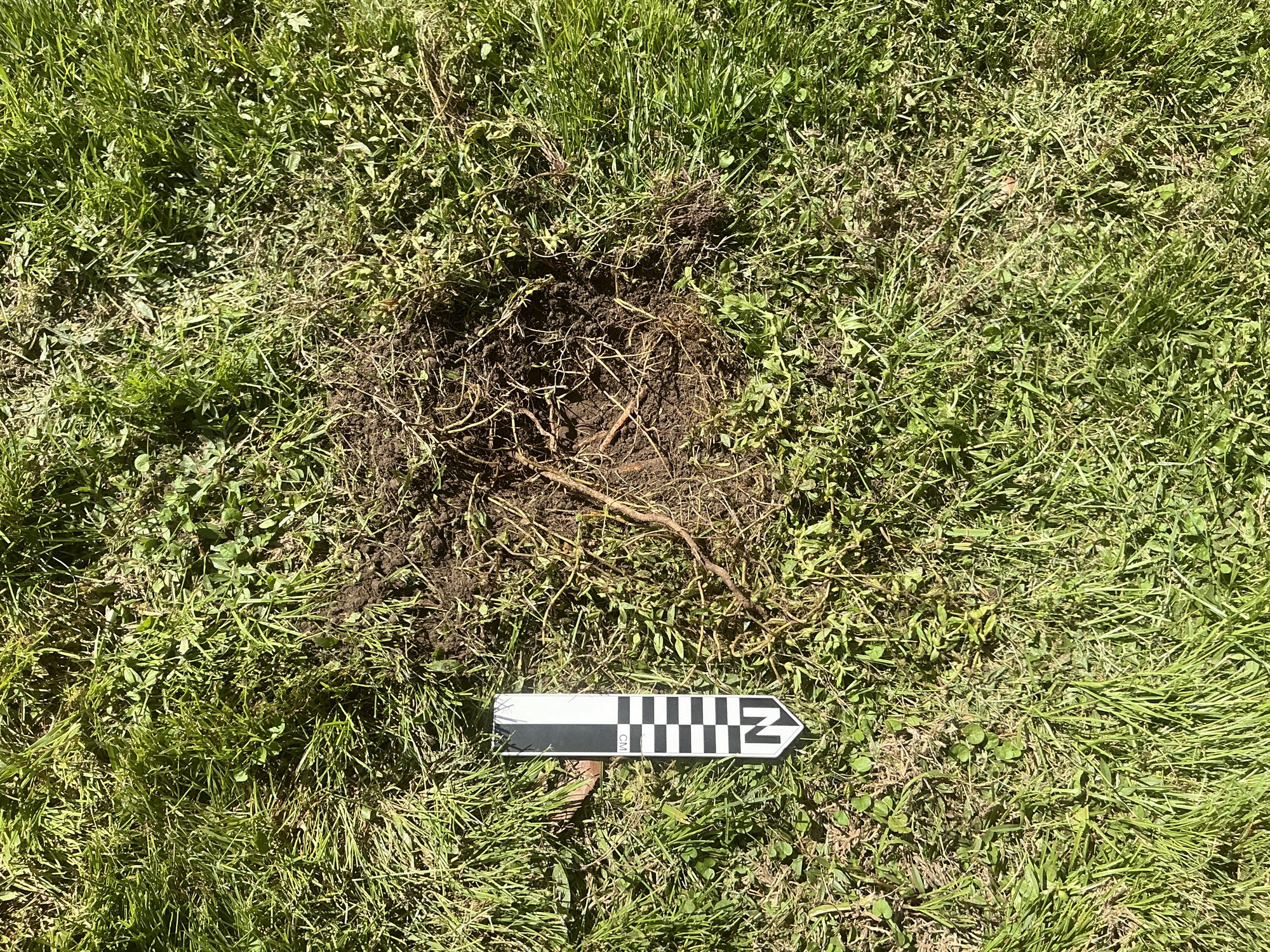 Extra image of flat marble marker