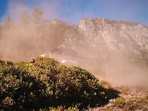 North wildfire, Sequoia and Kings Canyon National Parks, summer 2004