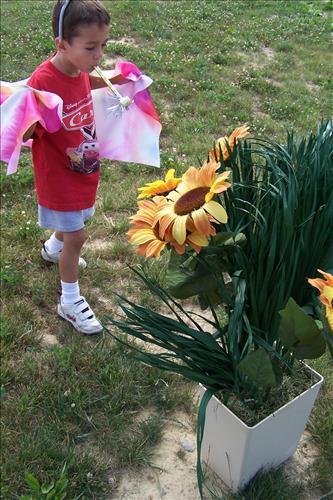 Junior Ranger, Butterfly's Breakfast, Activities