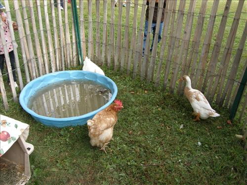 Lindenwald Harvest Day Celebration at Martin Van Buren National Historic Site in September 2009 part II