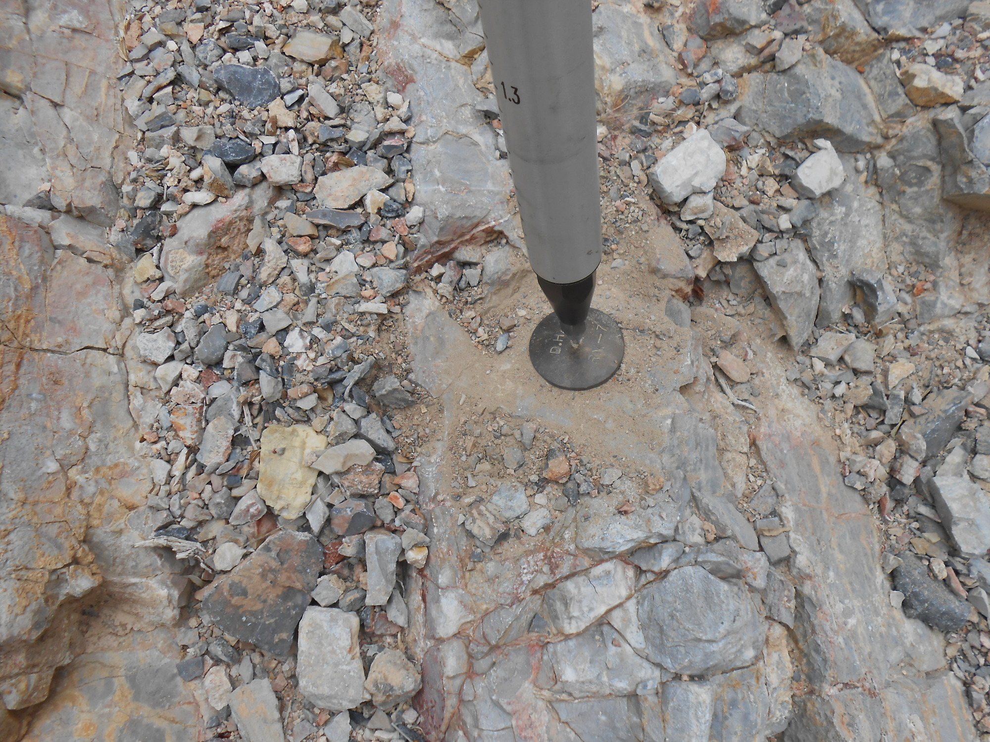 Devil's Hole survey photo