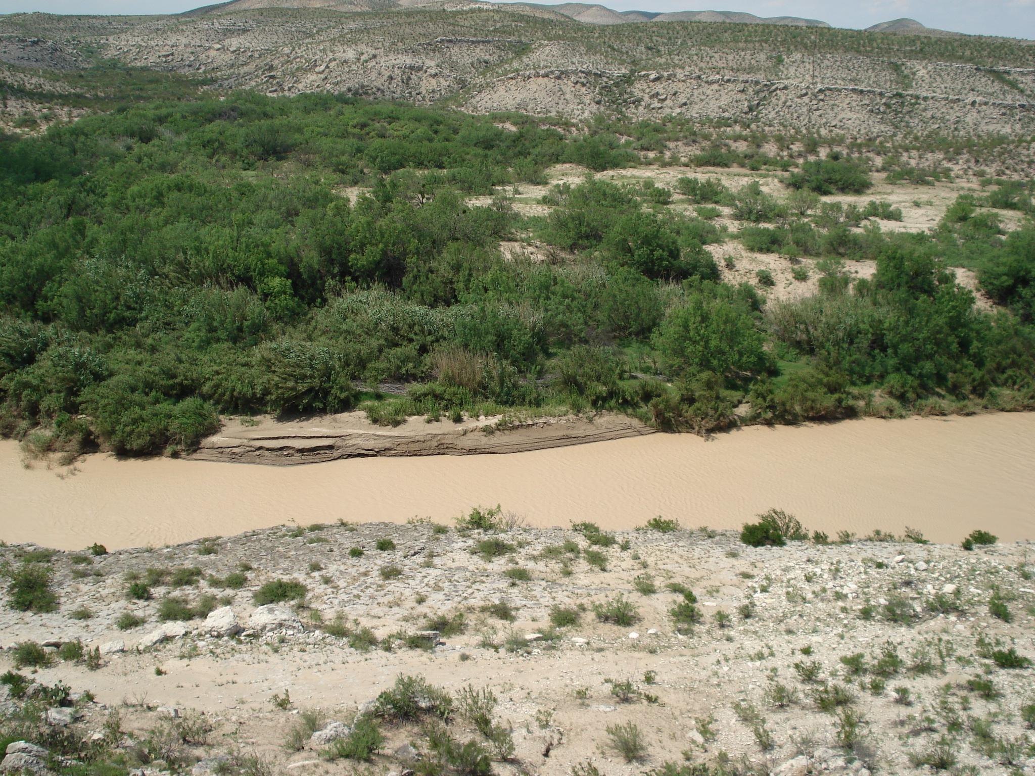 Photo of the Rio Grande