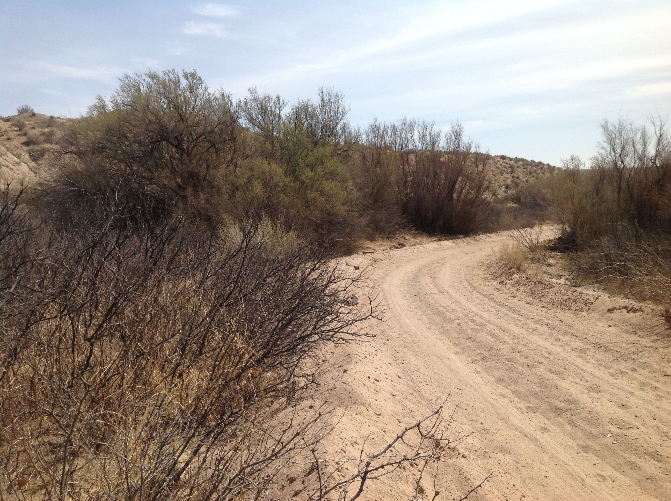 A dry dusty road at at Bosque del Apache National Wildlife Refuge at Point of Lands near Socorro, NM