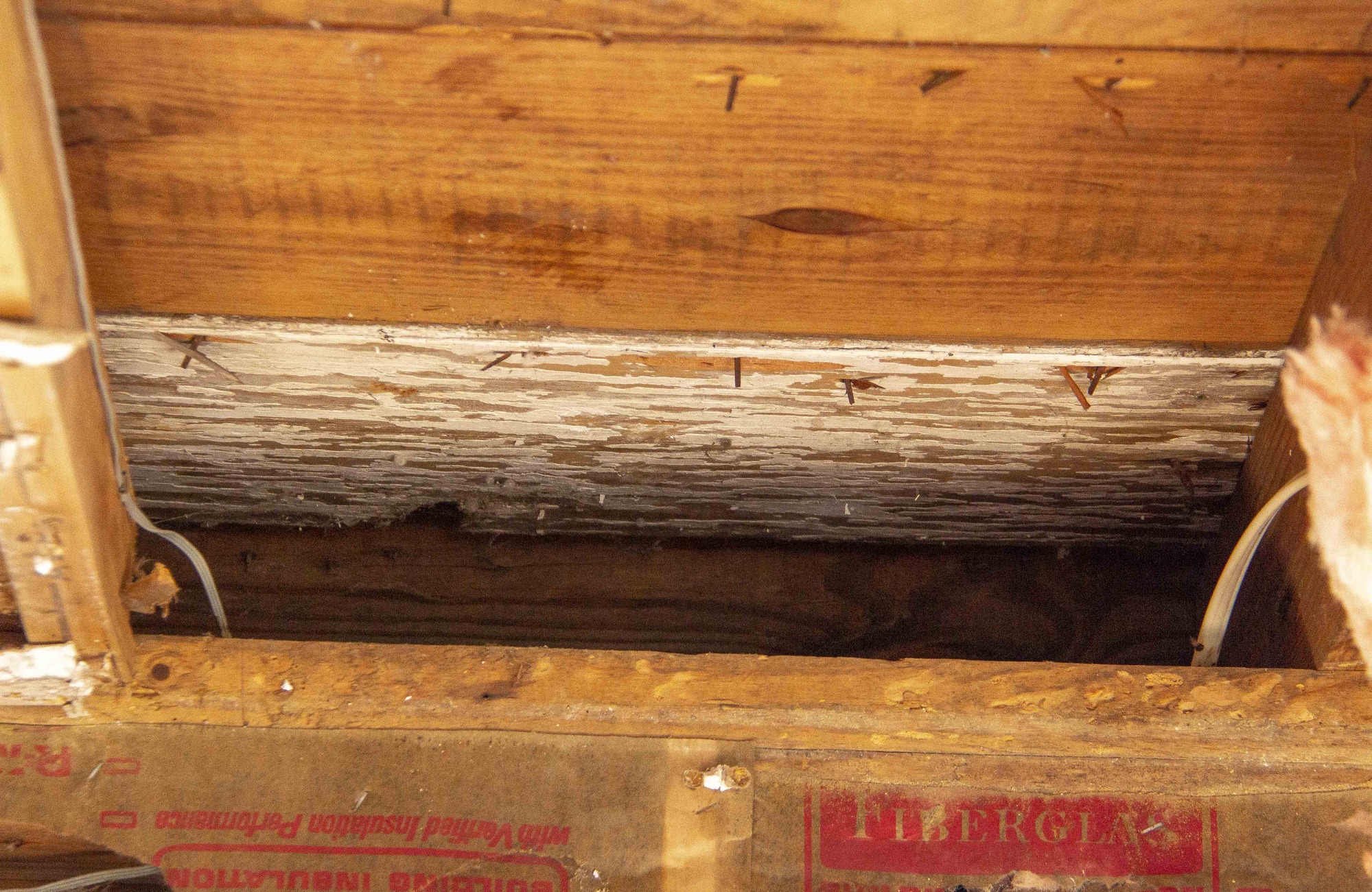 During the selective demolition process, preservationists discovered this piece of wood that would have been used in the original construction of the house. The original wood piece stands out from the rest of the wood because of the traces of white paint on the original piece.