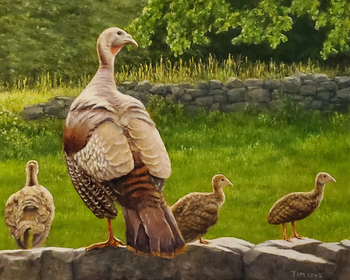 A painting of a mother turkey standing on a stone wall with three other small baby turkey standing alongside.