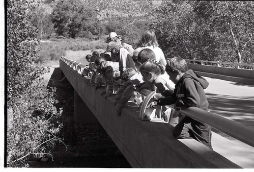 BW Photos of Junior Ranger Activities in Zion. On vehicle bridge near Watchman Housing Area.