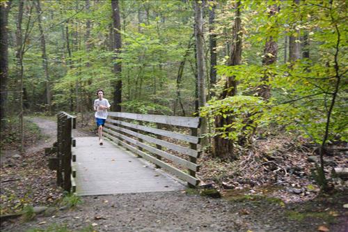 Fall Fun Run in the woods