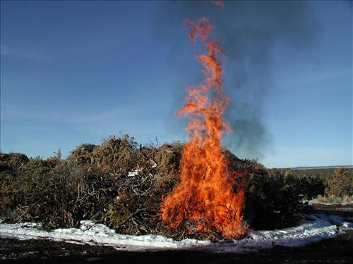 Brush pile burn as part of fuel reduction, Mesa Verde National Park, Jan. 2002