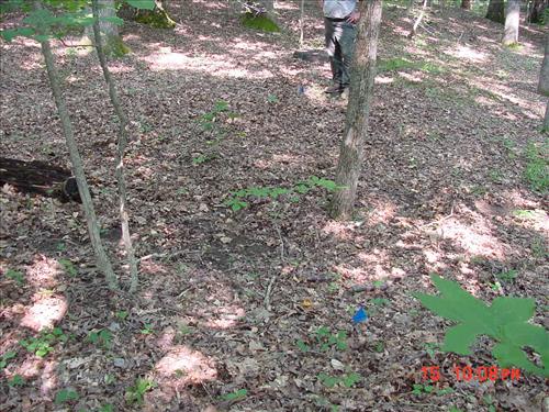 Installation of new sewer system in Camp 3 at Prince William Forest Park in August 2010
