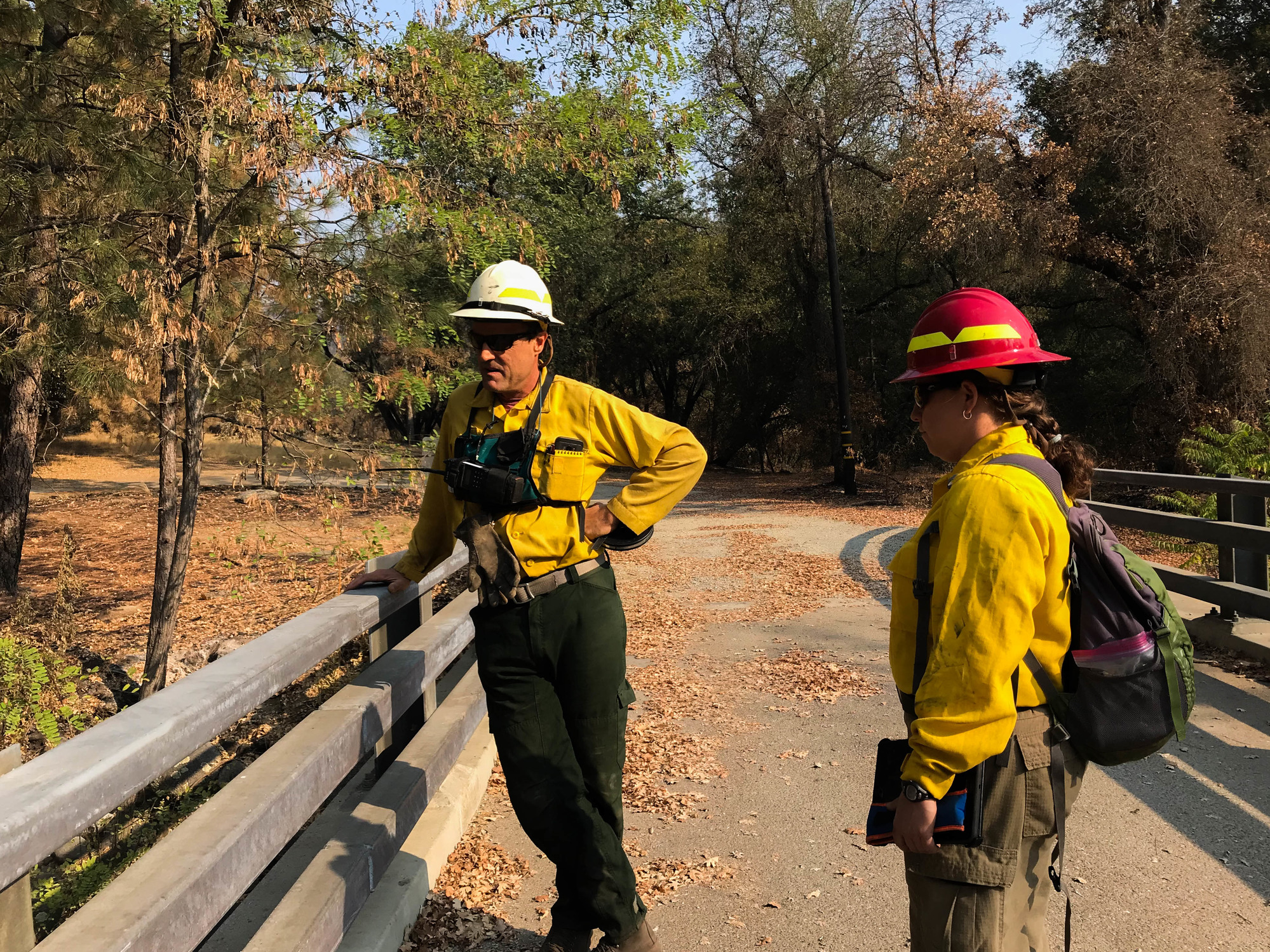 A geologist and hydrologist having a discussion while standing on a bridge