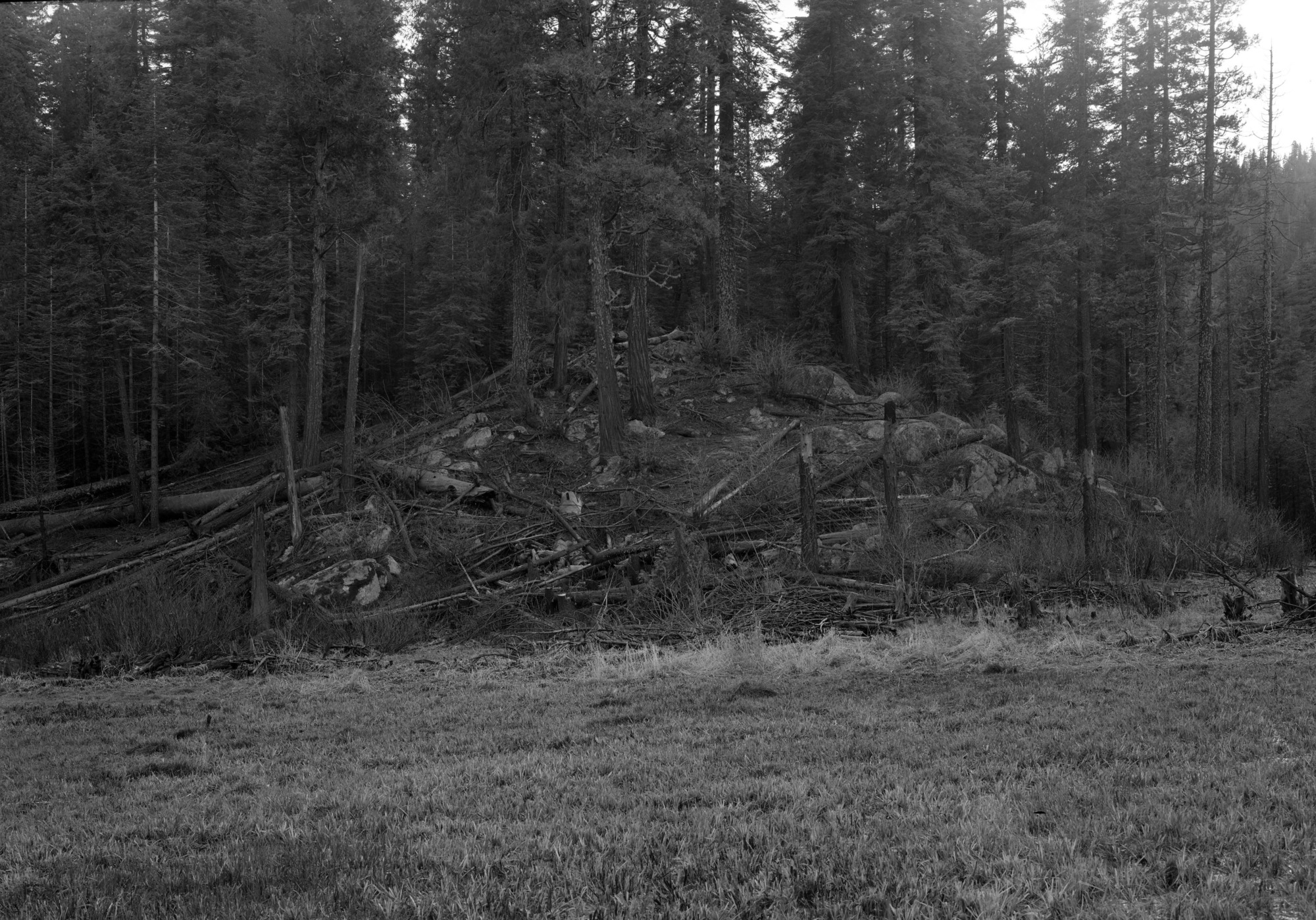 Closeup of rocky point in south end Cuneo place.