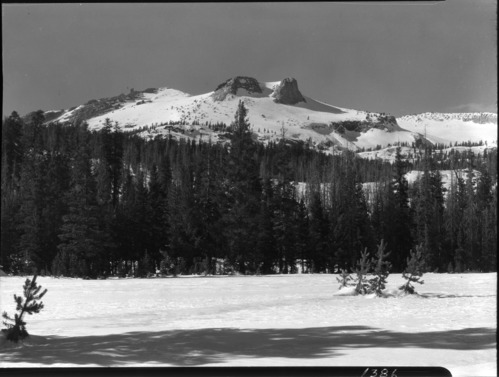 Mt. Hoffman from Snow Flat.