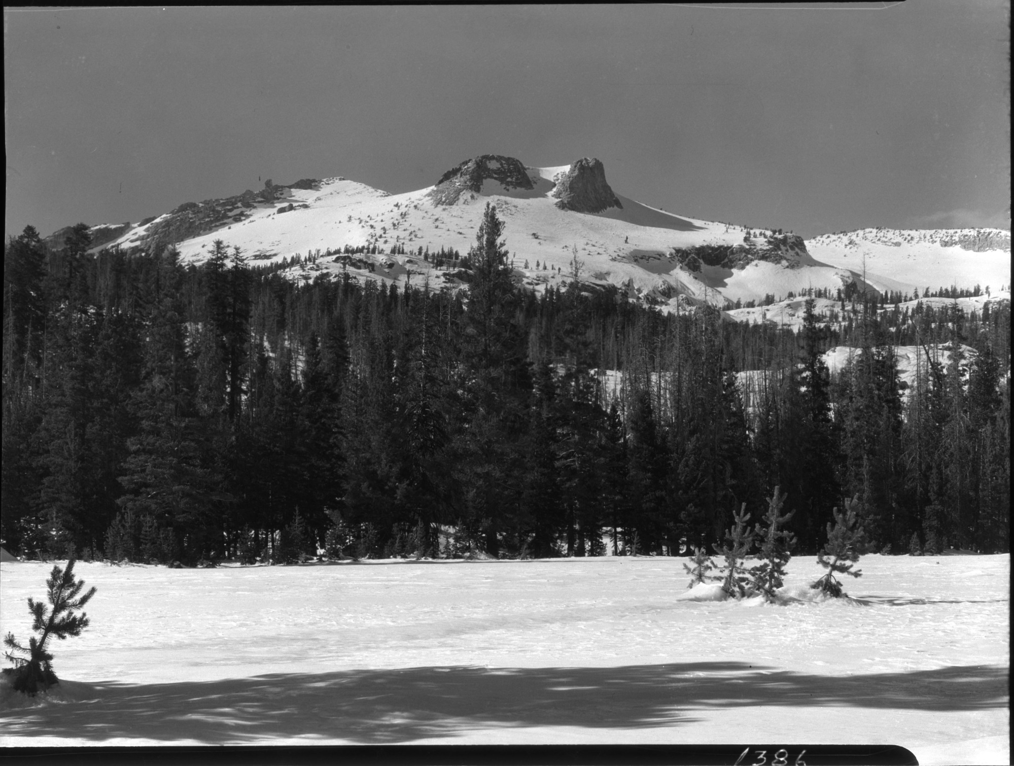 Mt. Hoffman from Snow Flat.